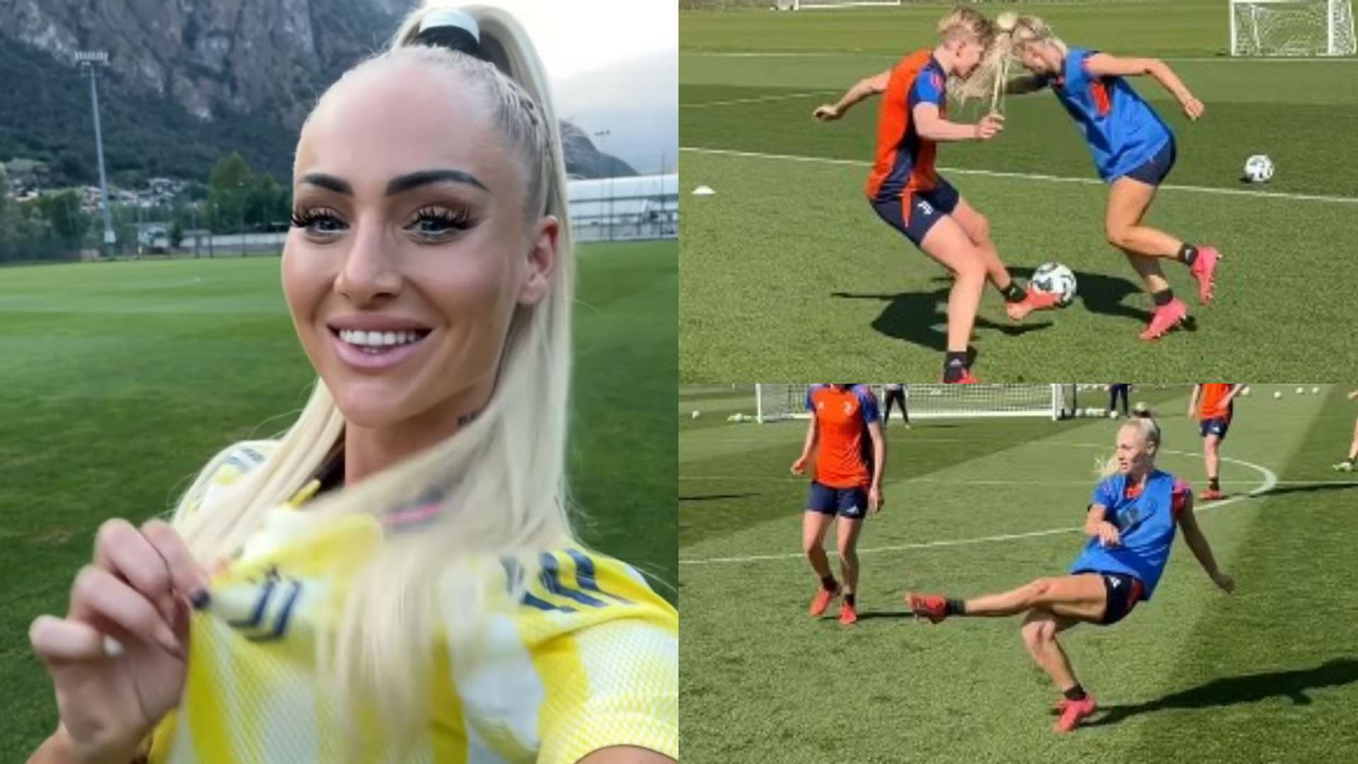 明星球员的 明星球员的